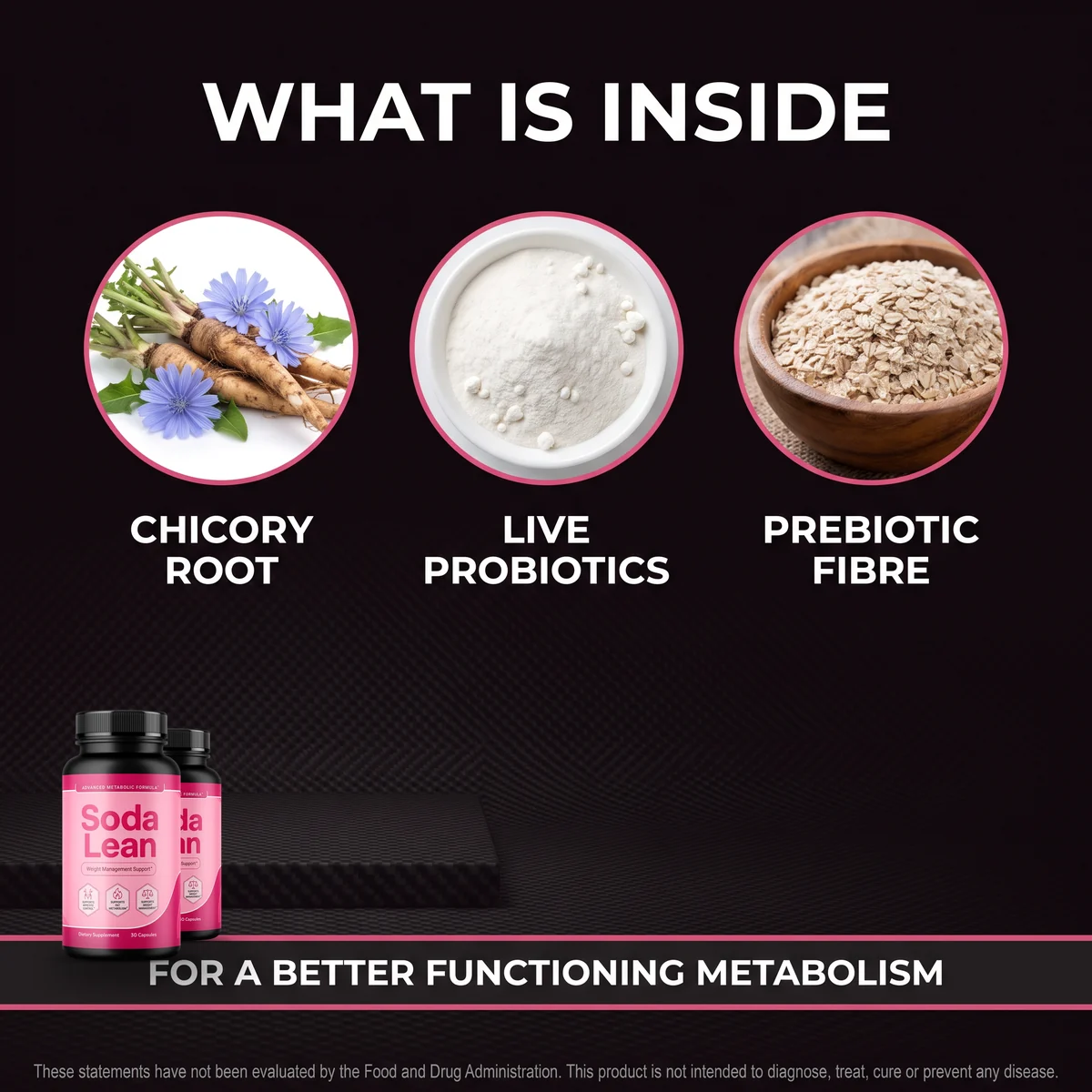 SodaLean ingredients — live probiotics paired with chicory root prebiotic fibre